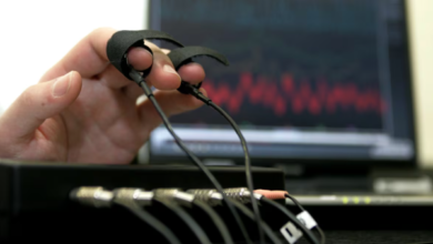 Understanding the Use and Limits of Lie Detector Tests in Canada