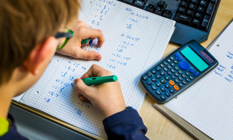 Achieving Excellence in Mathematical Studies