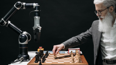 What AI Is Teaching Us About Human Decision-Making