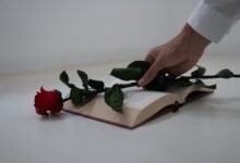confessions secrets forbidden romance