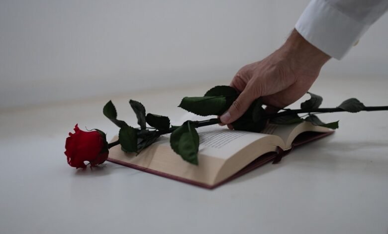 confessions secrets forbidden romance
