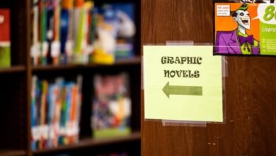 differences between light novels and manga