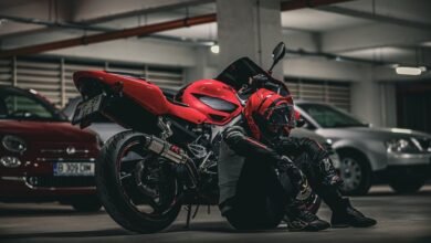 felipewillis motorcycle gear brand
